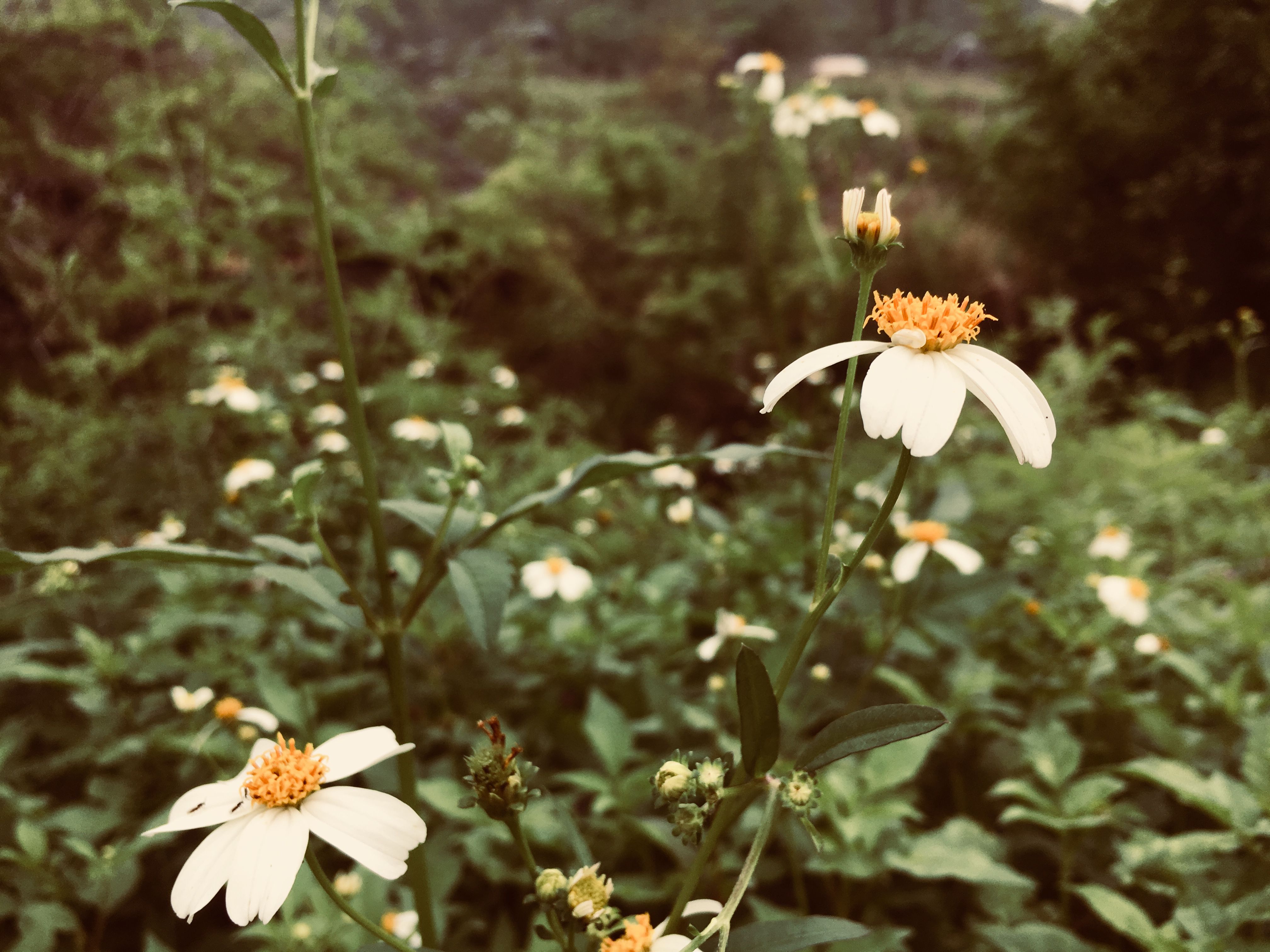 1_compressed.jpg 1_compressed.jpg